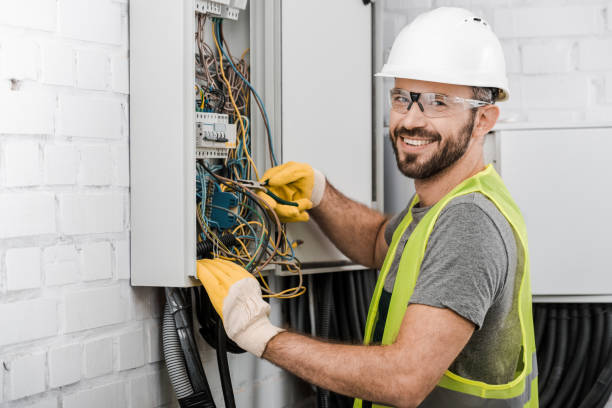 Best Home Electrical Repair  in Raymond, IL