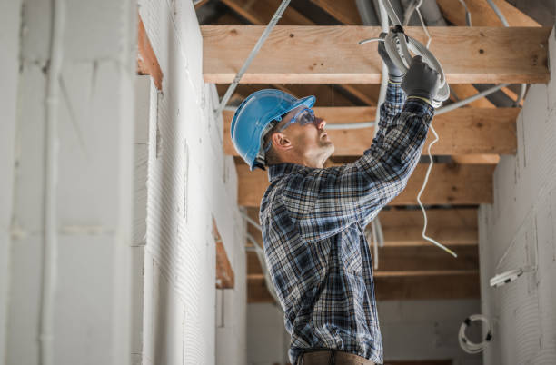 Best Local Electrician Companies  in Raymond, IL